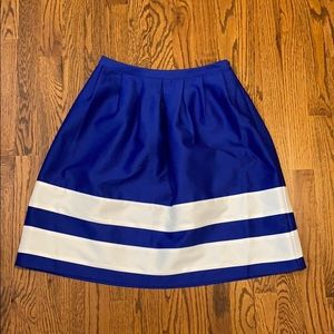Blue Skirt with White Stripes